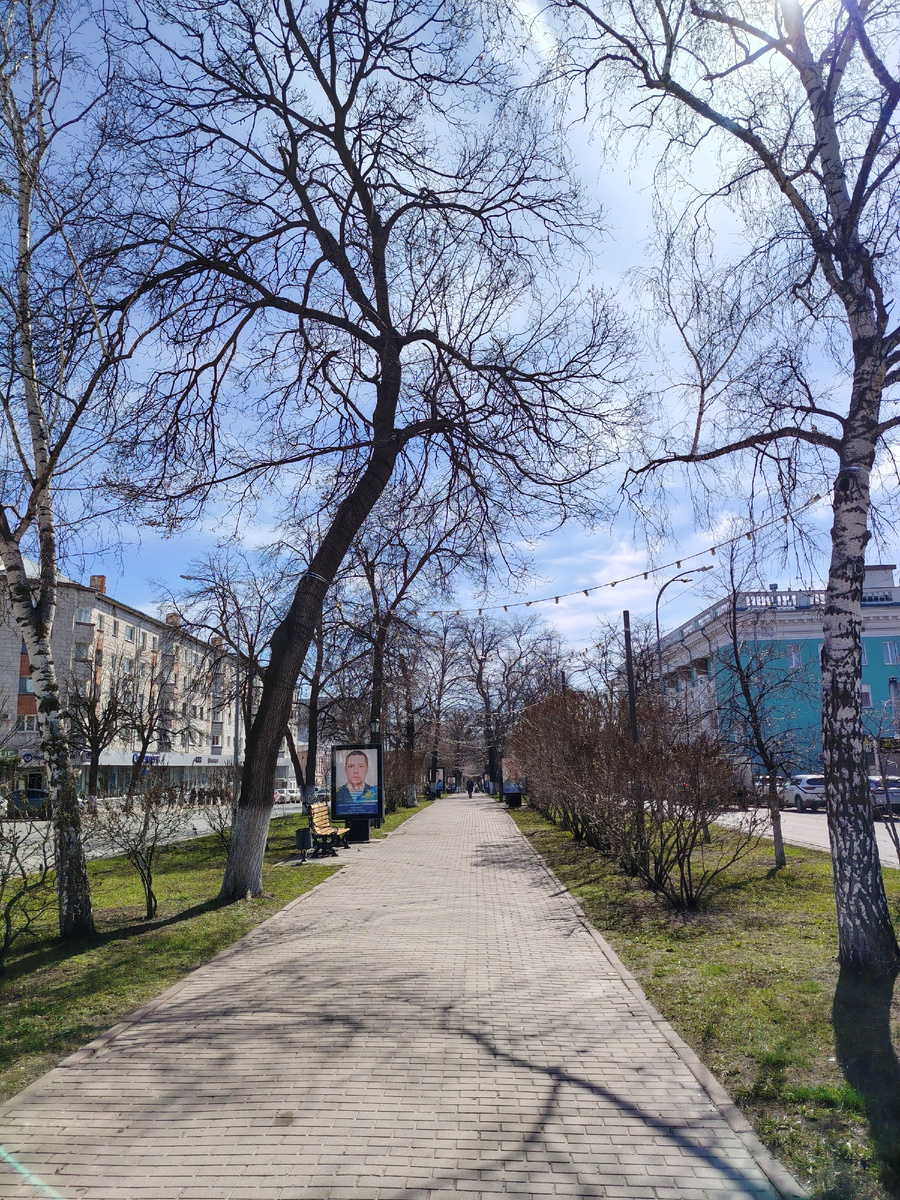 Все фото в статье автора. 