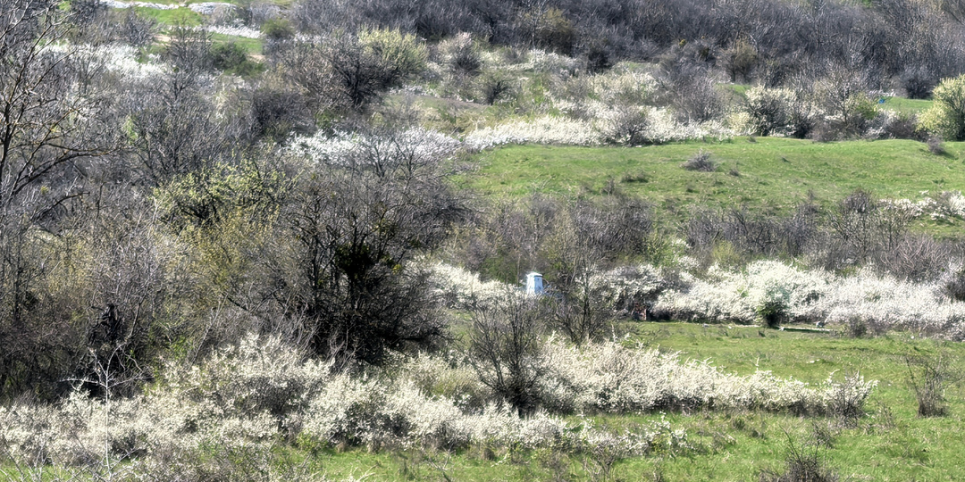 Приятные хлопоты и опять Праздник