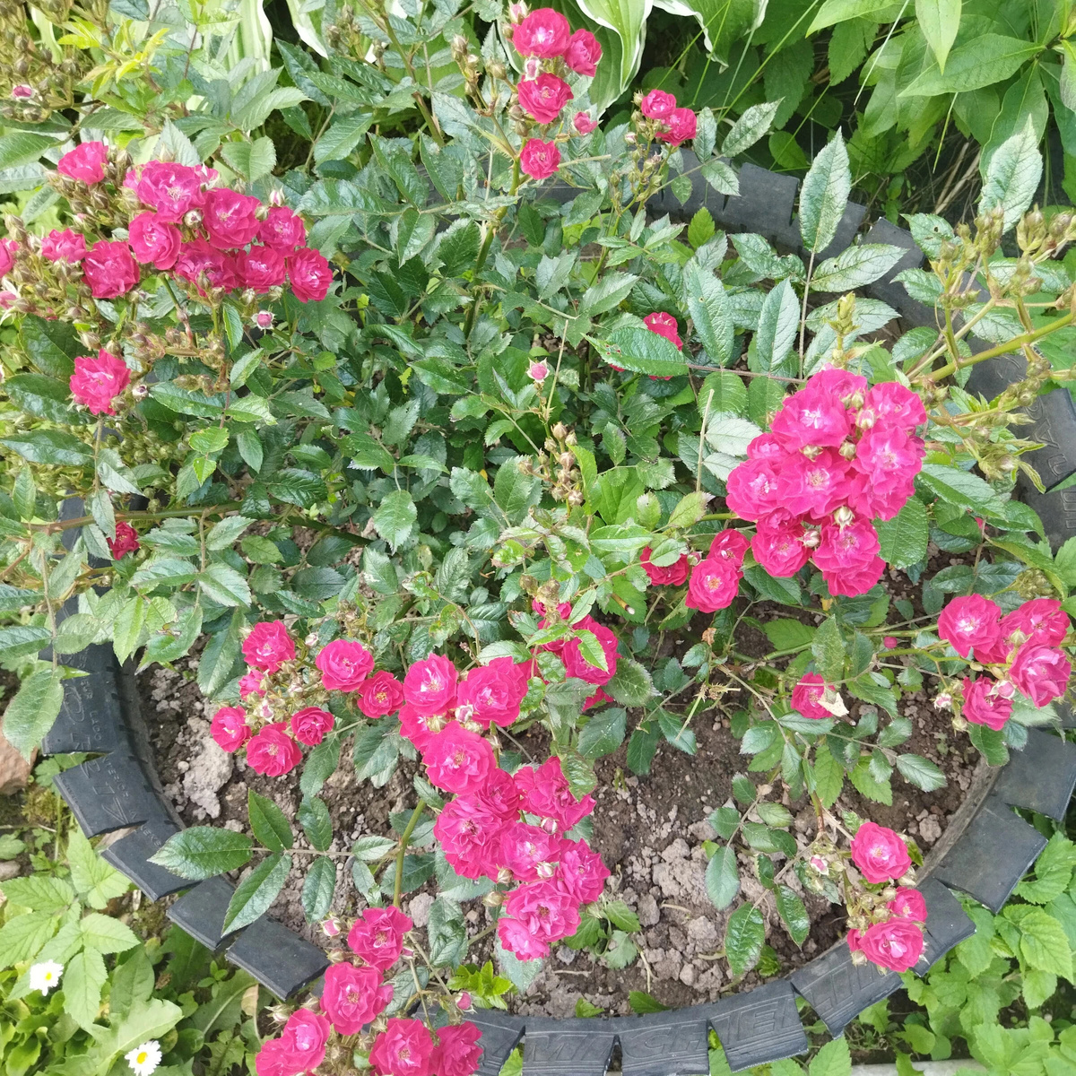 7 июля 2023 год