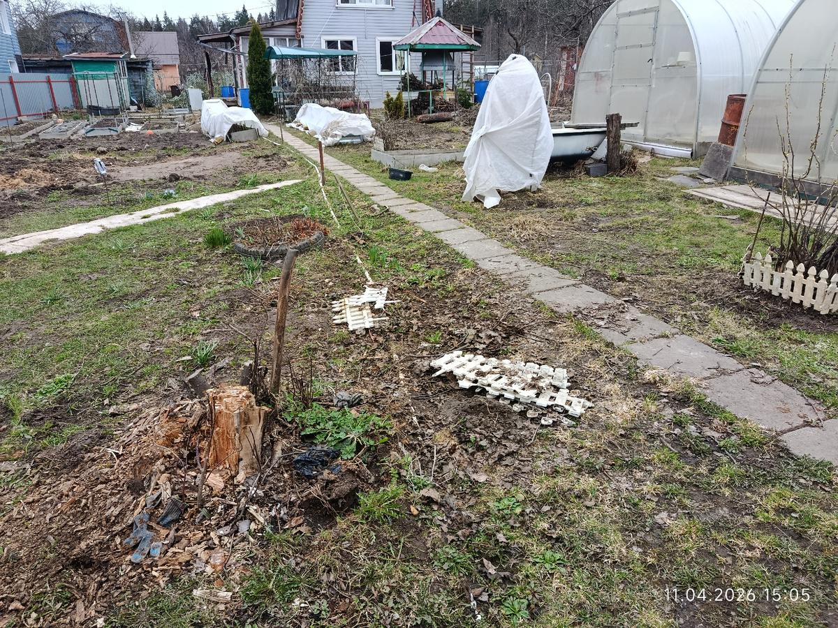 Вот и вся наша дача