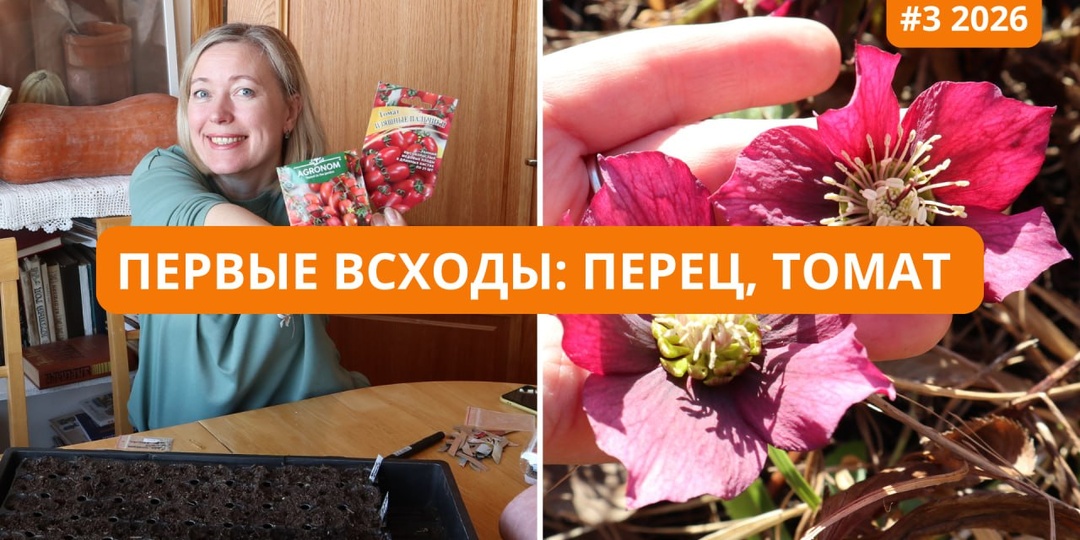 Длинное влоговое видео№3 для приятных выходных