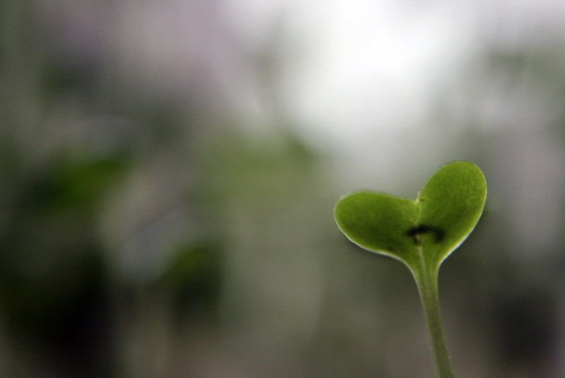 «Спасибо, хорошо»: 5 способов узнать правду о самочувствии подчиненных