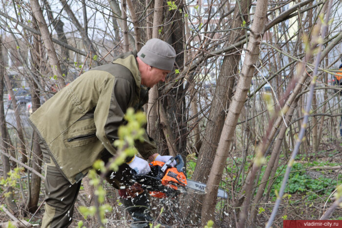 Сергей Волков бросил клич владимирцам выйти на субботник
