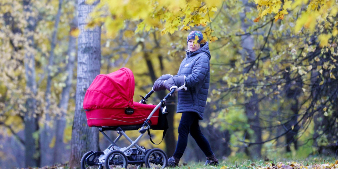 Российским женщинам хотят запретить рожать "для себя"