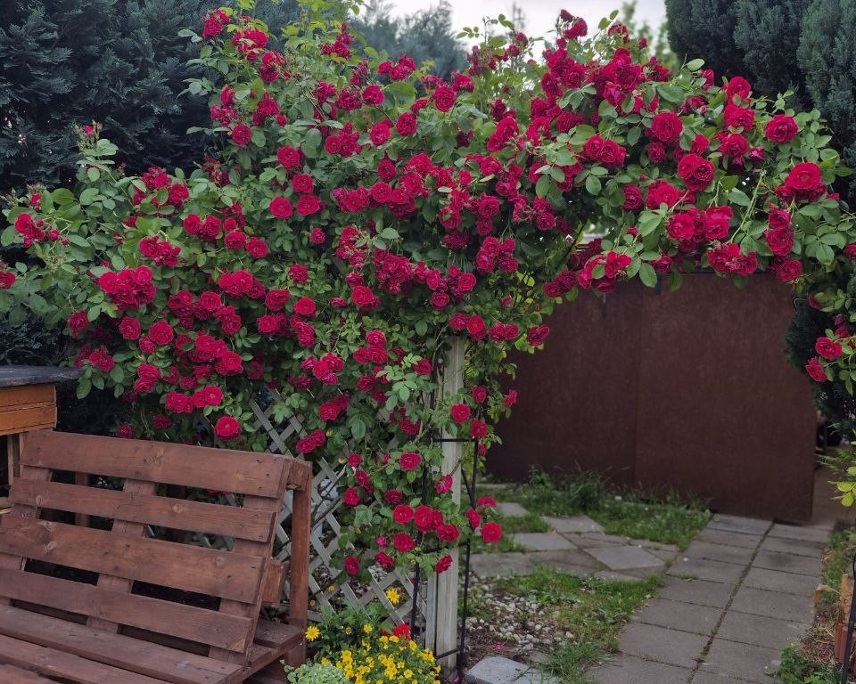 фото выпускницы Цветочного курса