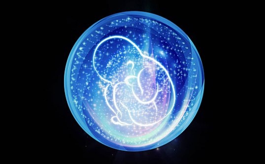 Пока вы были эмбрионом, в этом состоянии вы обозревали всю реальность целиком. 