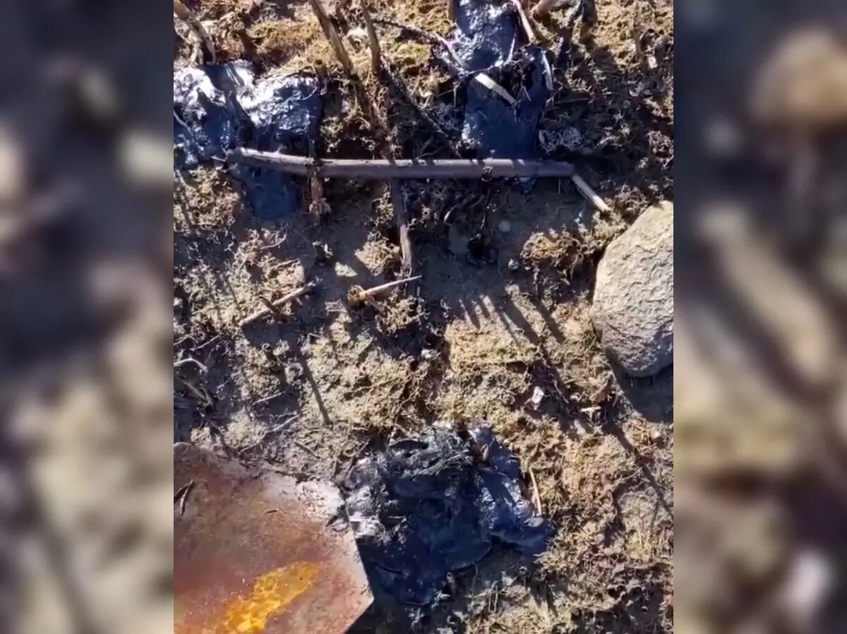    Деревня Логи. Фото: стоп-кадр видео из соцсетей Ивана Апостолевского