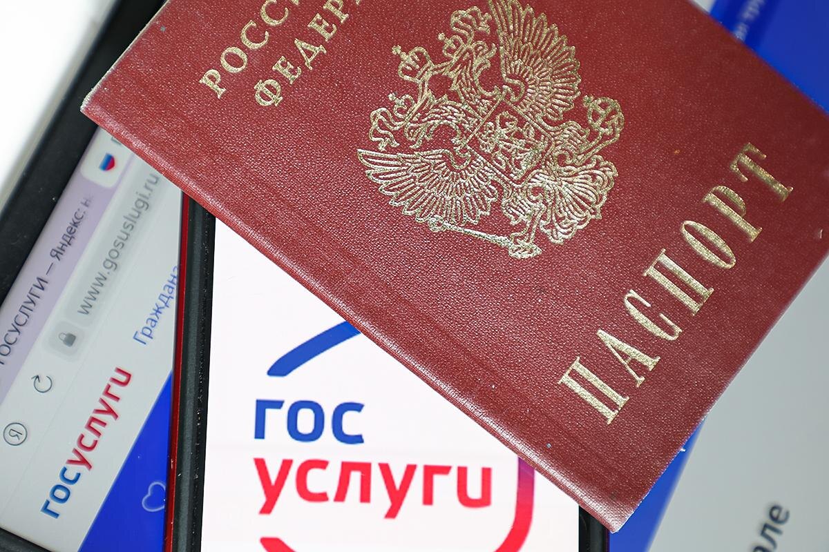 Алексей Белкин / Global Look Press📷Оплатить штраф можно через портал «Госуслуги»