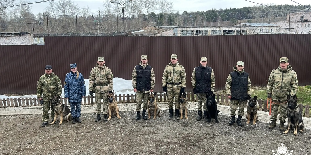 В Пермском военном институте состоялись учебно-методические сборы со специалистами-кинологами кинологического факультета