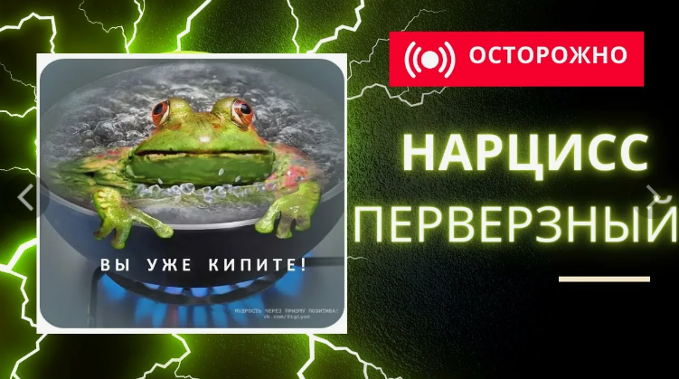 Фото из интернета