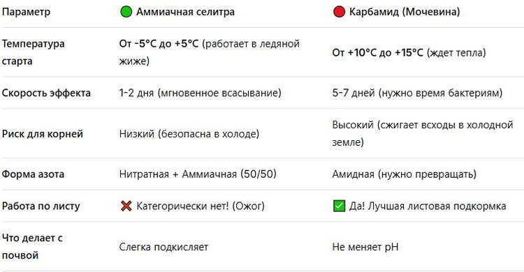     Чем подкормить озимый чеснок весной для хорошего урожая
