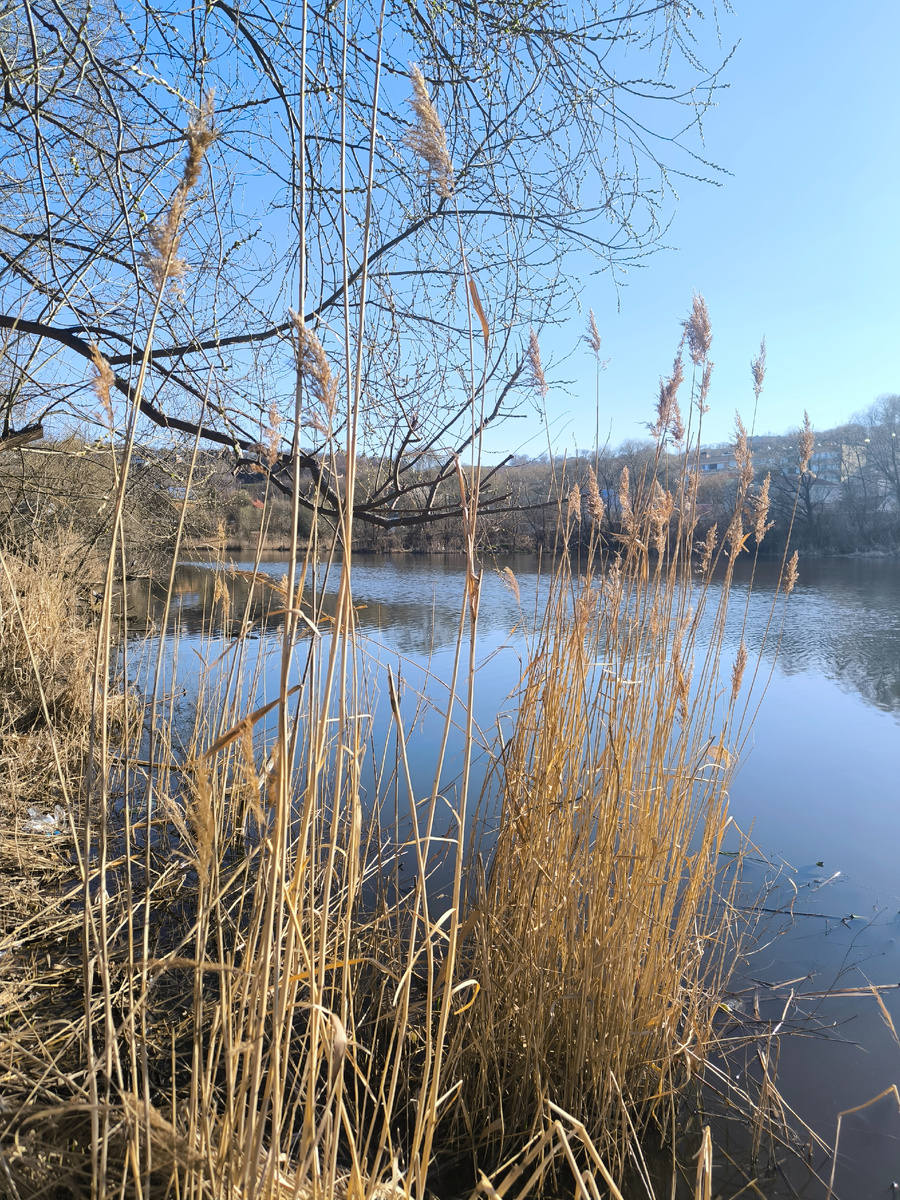 Фотографии в статье авторские