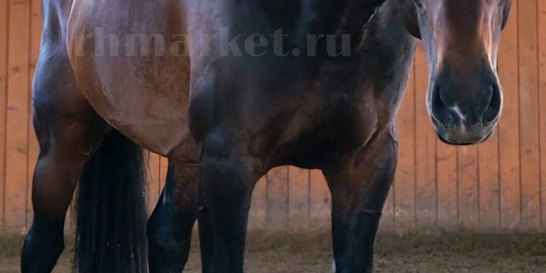 Цена снижена! Есть новые видео