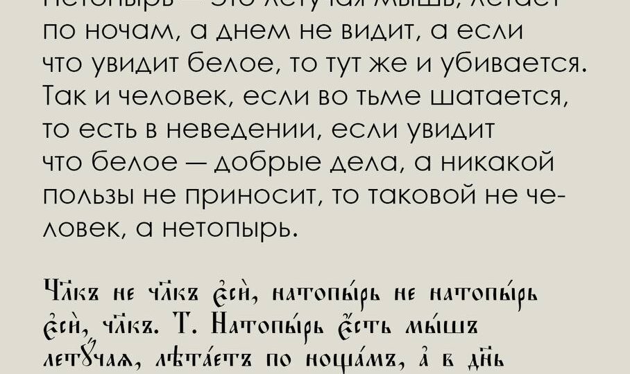 И еще о летучих мышах и пользе