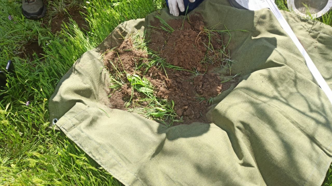 Источник: пресс-служба Россельхозцентра Херсонской области