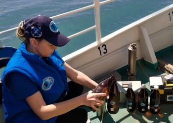 Источник: Южный филиал Всероссийского НИИ рыбного хозяйства и океанографии