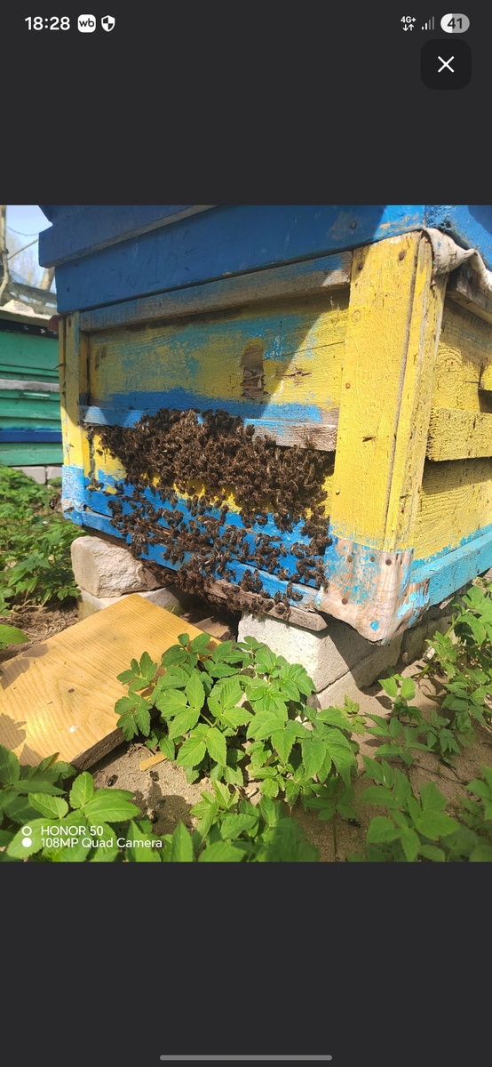 2025г 17 апреля