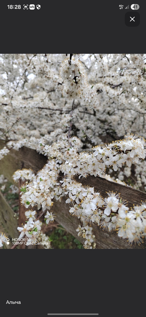 2025г 17 апреля