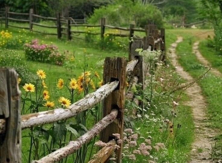 Волчья ягода