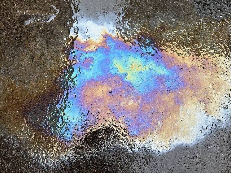     Фирма попробовала обжаловать решение, но не смогла. Фото: архив "МК в Питере"