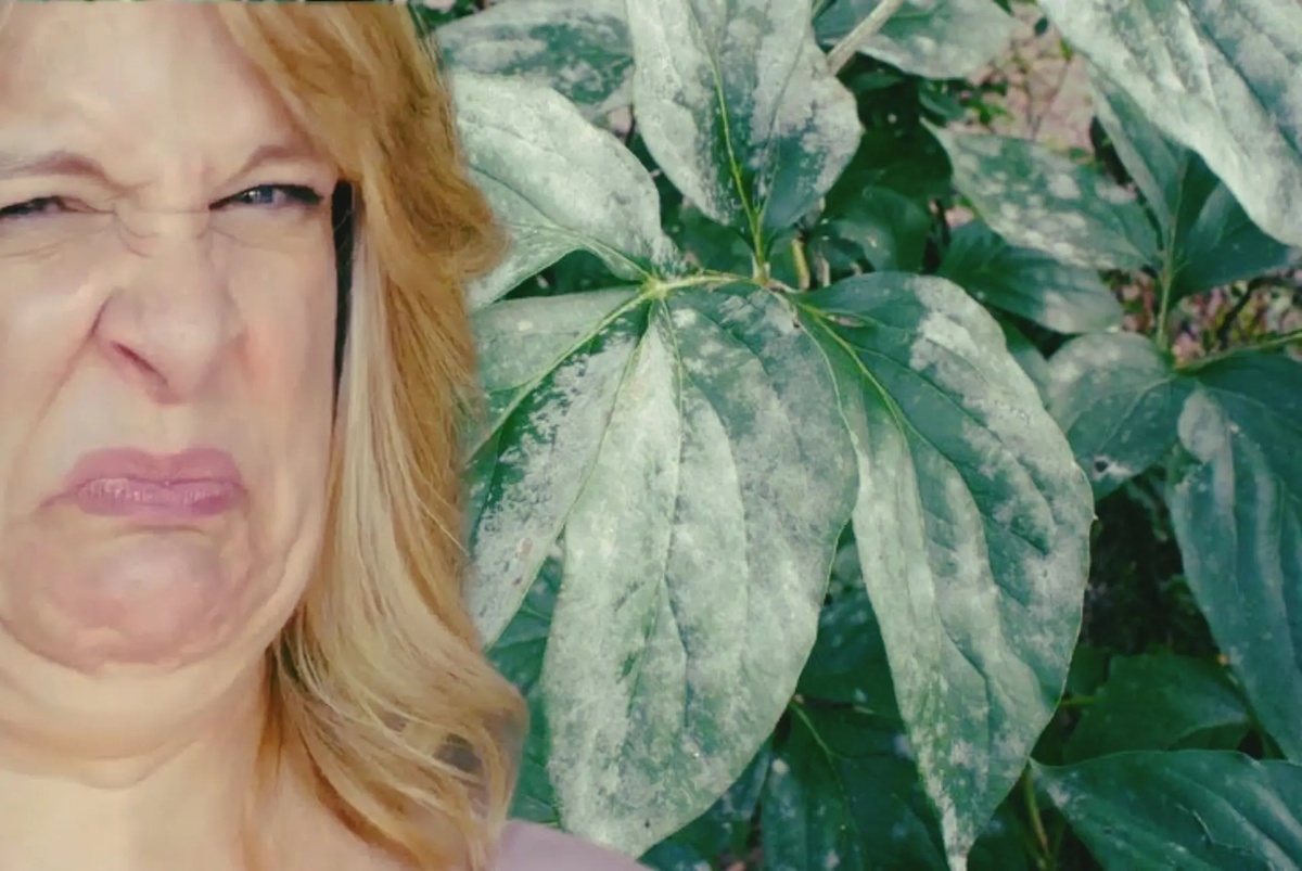 Главное своевременно найти решение проблемы