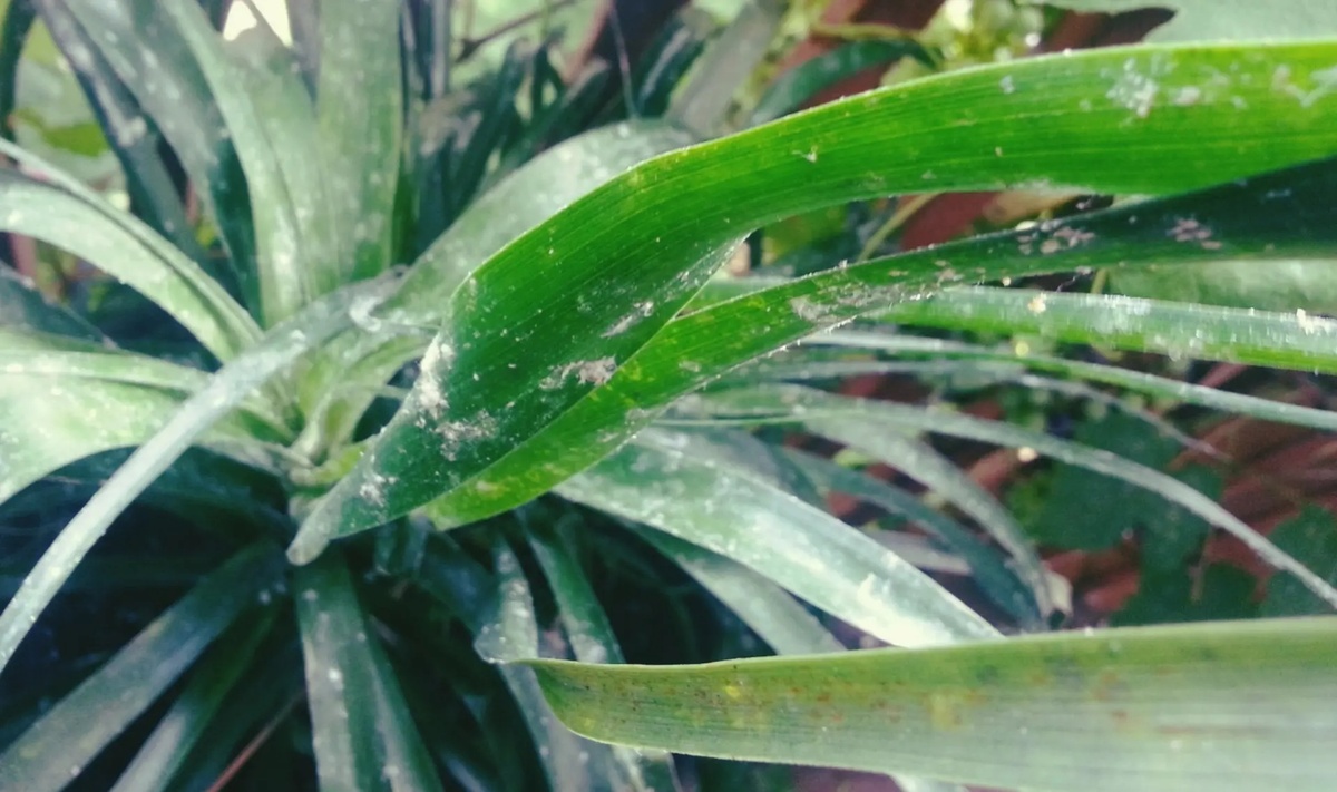 Знакомая картина? 