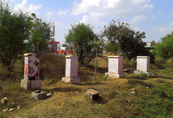 фото: Shutterstock