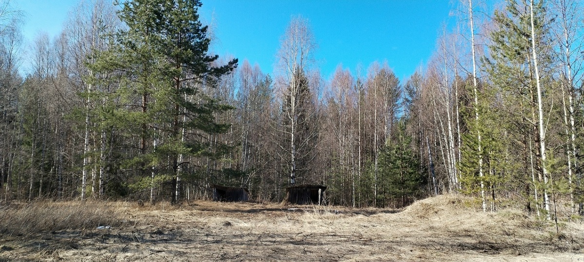 Кстати, на соседнем участке наверняка побывали воришки. Распахнутые настежь двери двух сараюшек указывали на попытку поживиться за чужой счёт. Вот только брать там оказалось нечего...