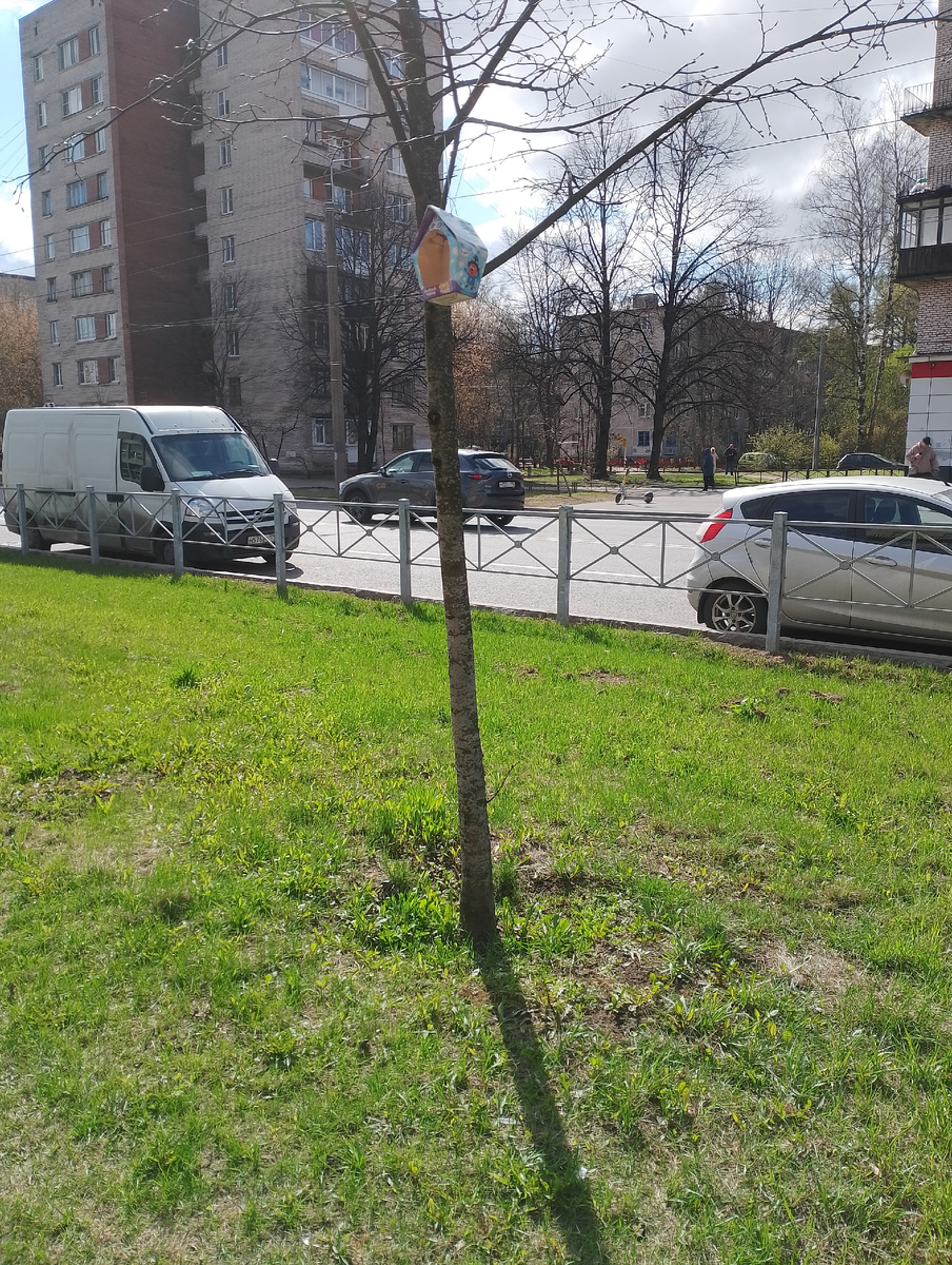 Фото автора.