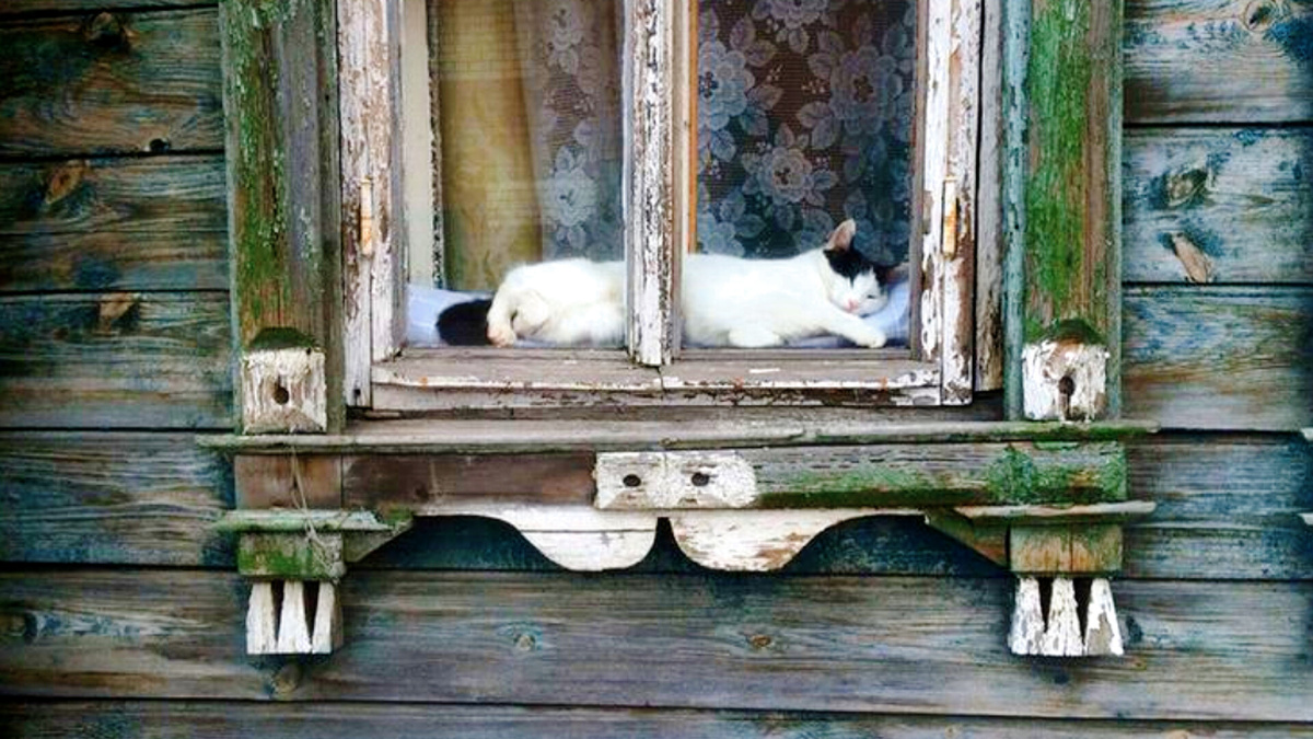 У домохозяина перерыв