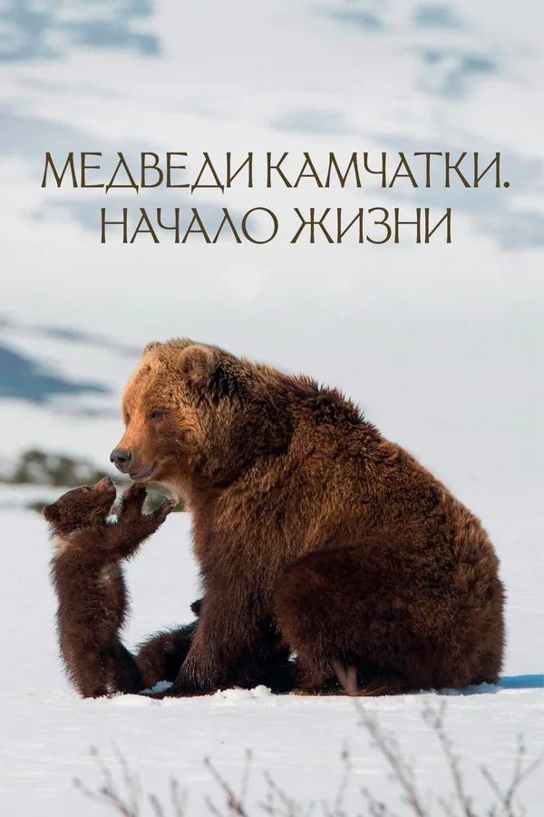 #ДвижениеПервых #МедиаПритяжение #ВажныйРазговор