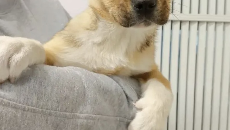 Бусинка с грустными глазами. Выпуск на улицу