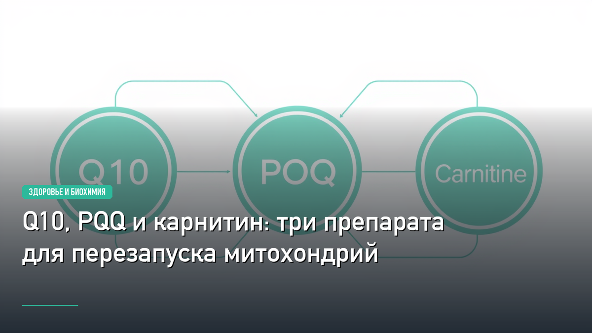 Q10 PQQ Carnitine