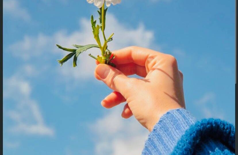 Почему надежда рядом с нарциссом работает против вас; 5 трезвых фактов без иллюзий. Объясняет психолог