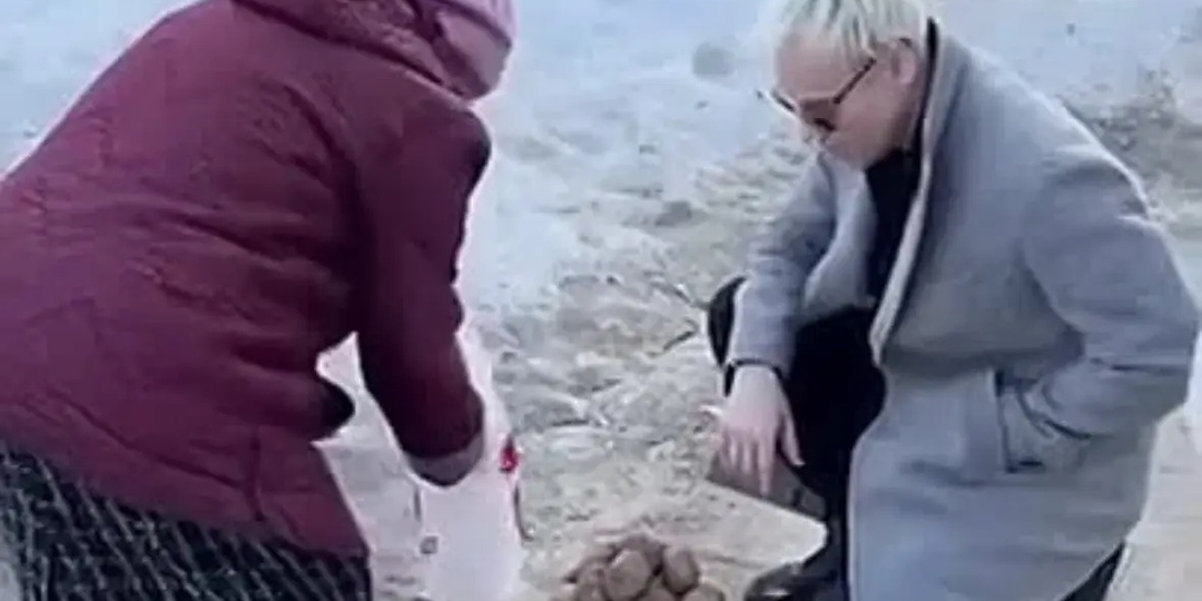 ДВЕ РУКИ ШАМАНА или НОРА, ПОЛНАЯ ЛЖИ.