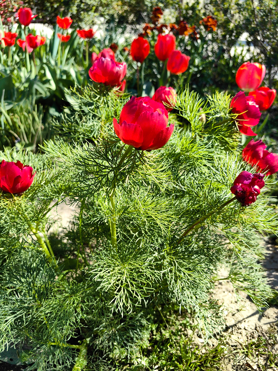 Фото автора канала