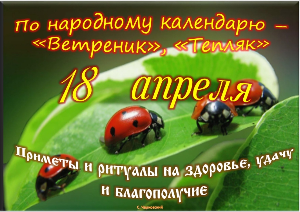 Встречаем новый день