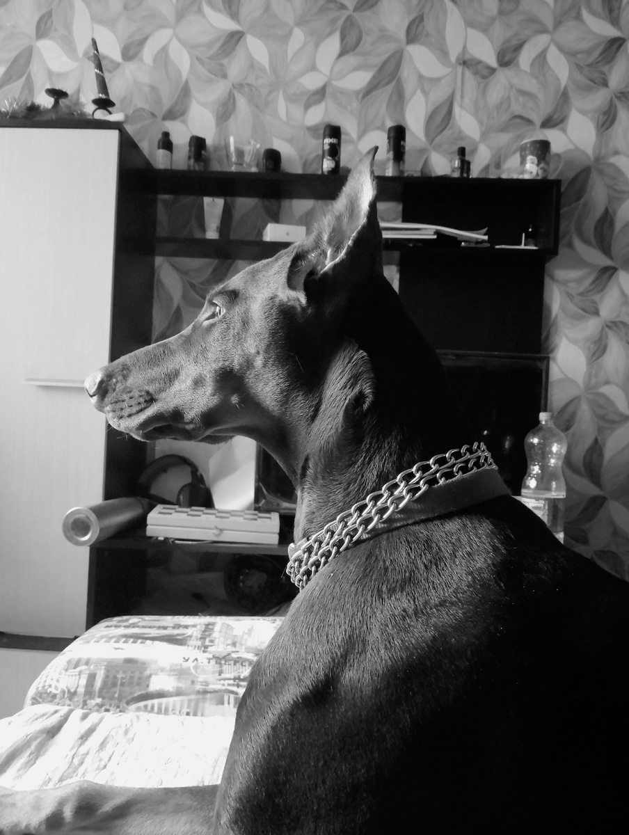 Поймал в моменте кадр