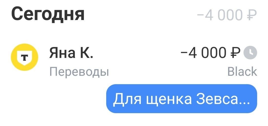 Собранные для него 4000 уже перевела куратору Яне