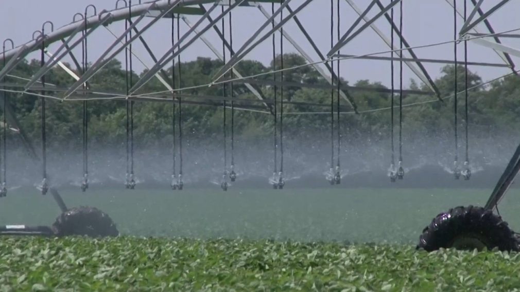    Фото: СвоёТВ Сергей Иванов