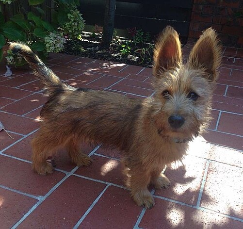 Стой, так не очень хорошо!