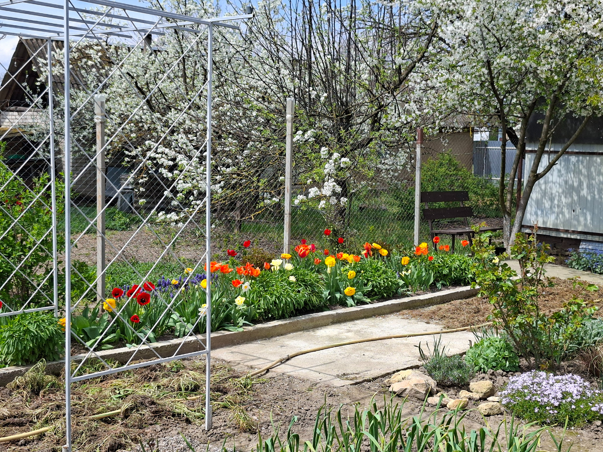 Моя лавочка с другого ракурса.