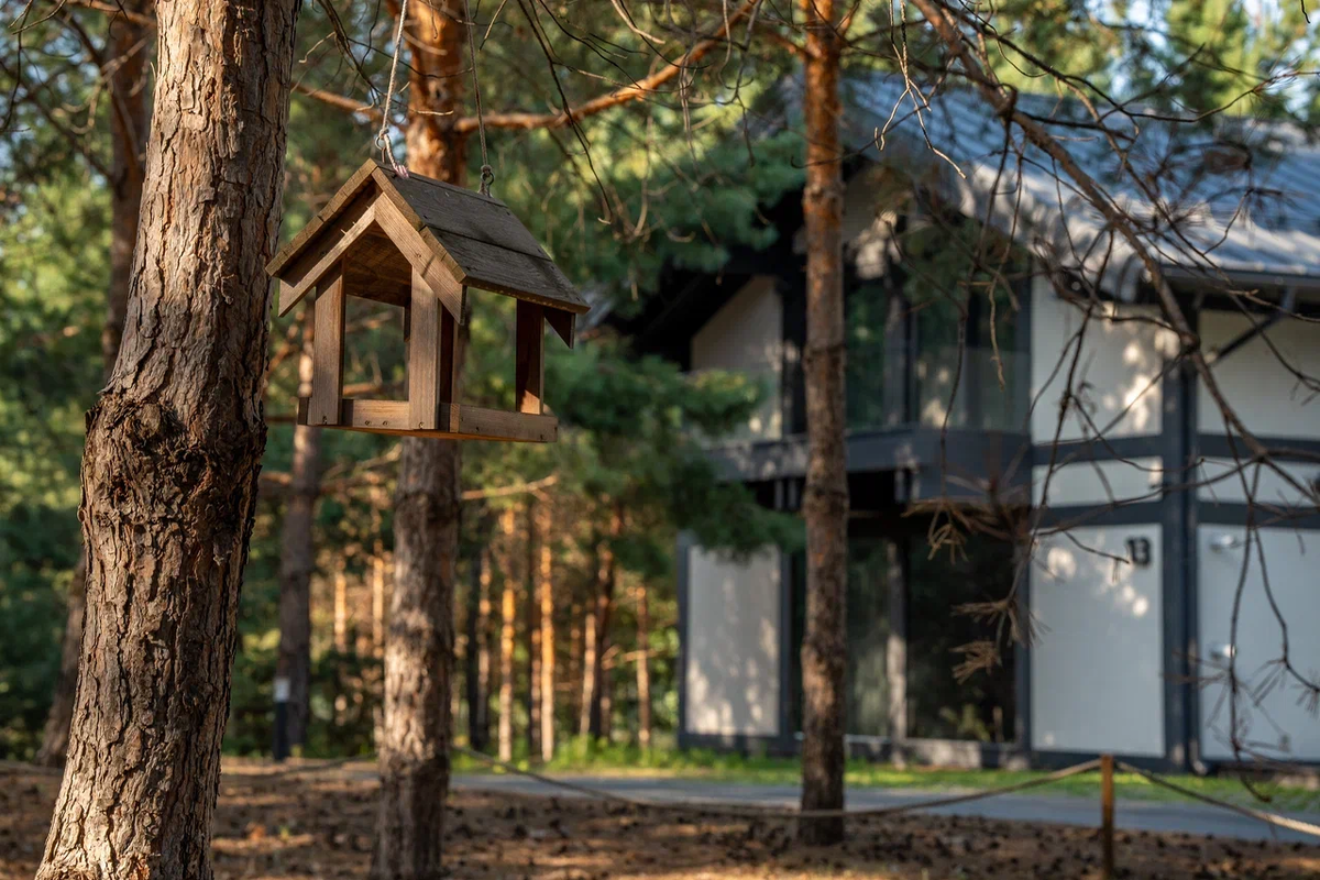 Почему люди бегут из городов — и в какой момент «нормальная жизнь» превращается в выживание