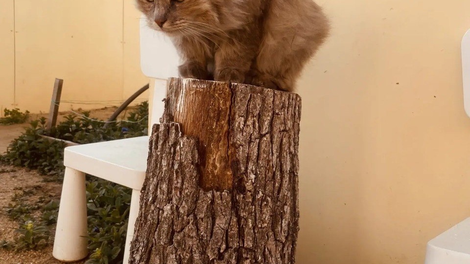 🎯 На старт, внимание, марш — в ВЫХОДНЫЕ К НАМ