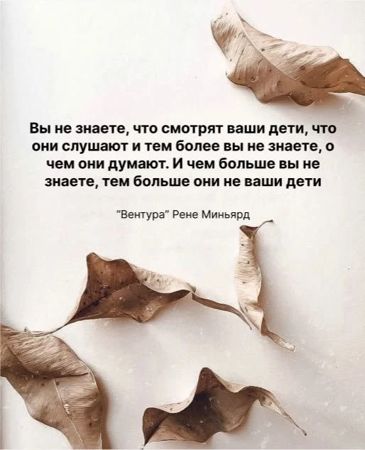 Вентура Рене Миньярд книжный бестселлер 2026