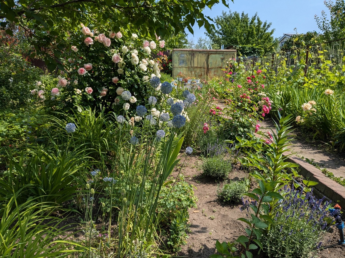 И я смогу фотографировать свой сад без опасений, что сарай попадёт в кадр