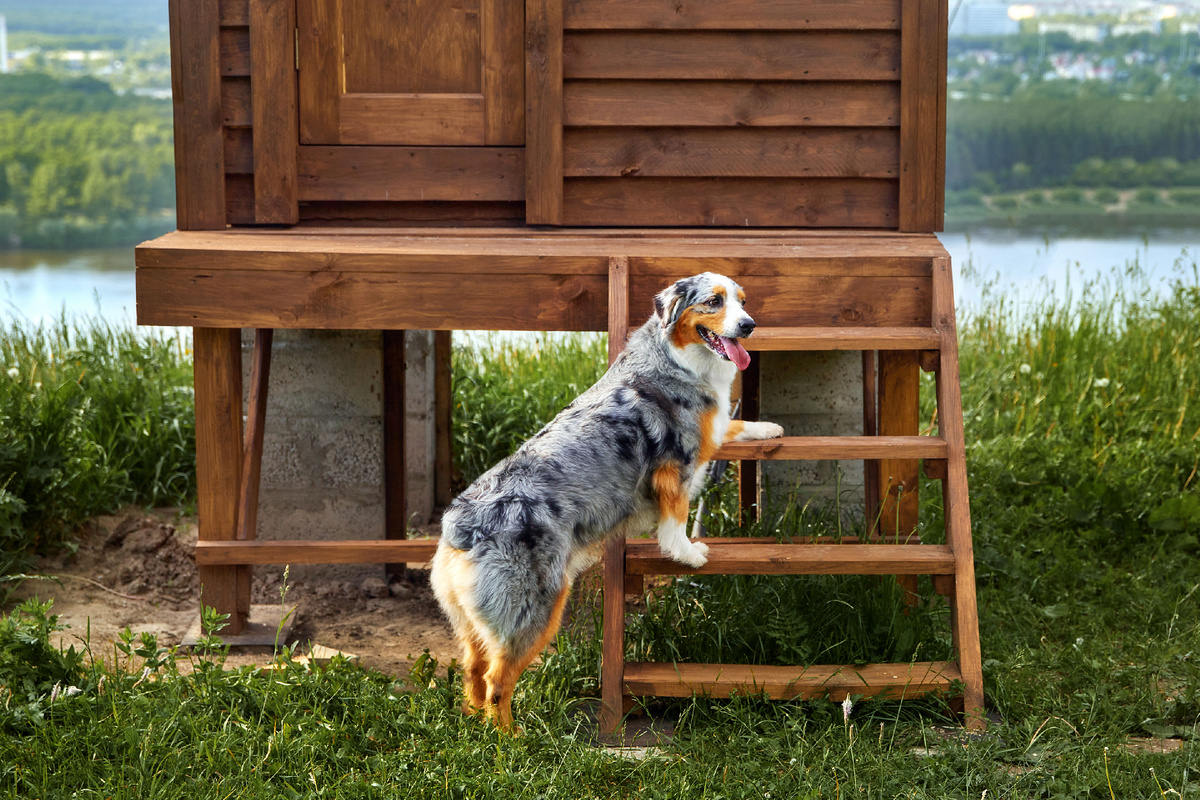 Опять не дали храпеть в подушках, а потащили непонятно куда
