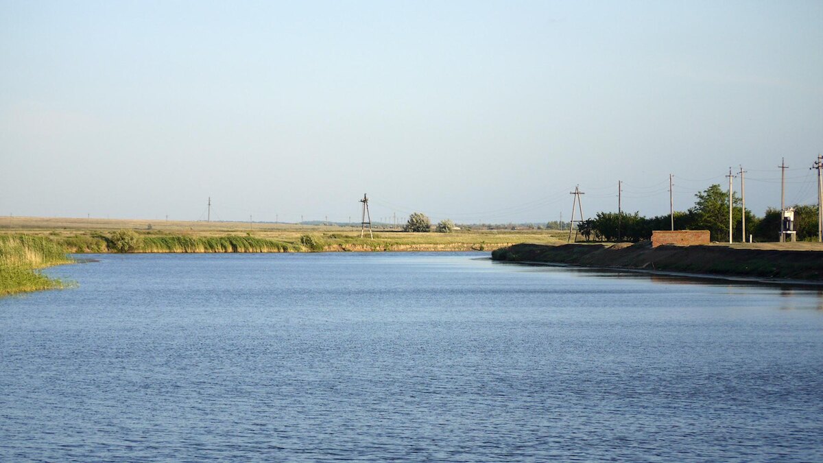    Фото: wikimedia.org
