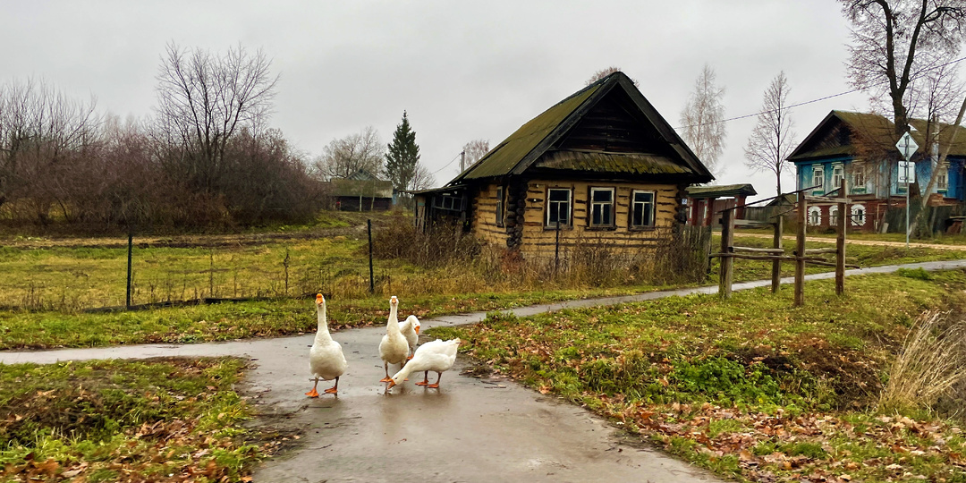 Как живут в Марий Эл. 8 привычек местных жителей: от ночного дозора до заморозки яблок