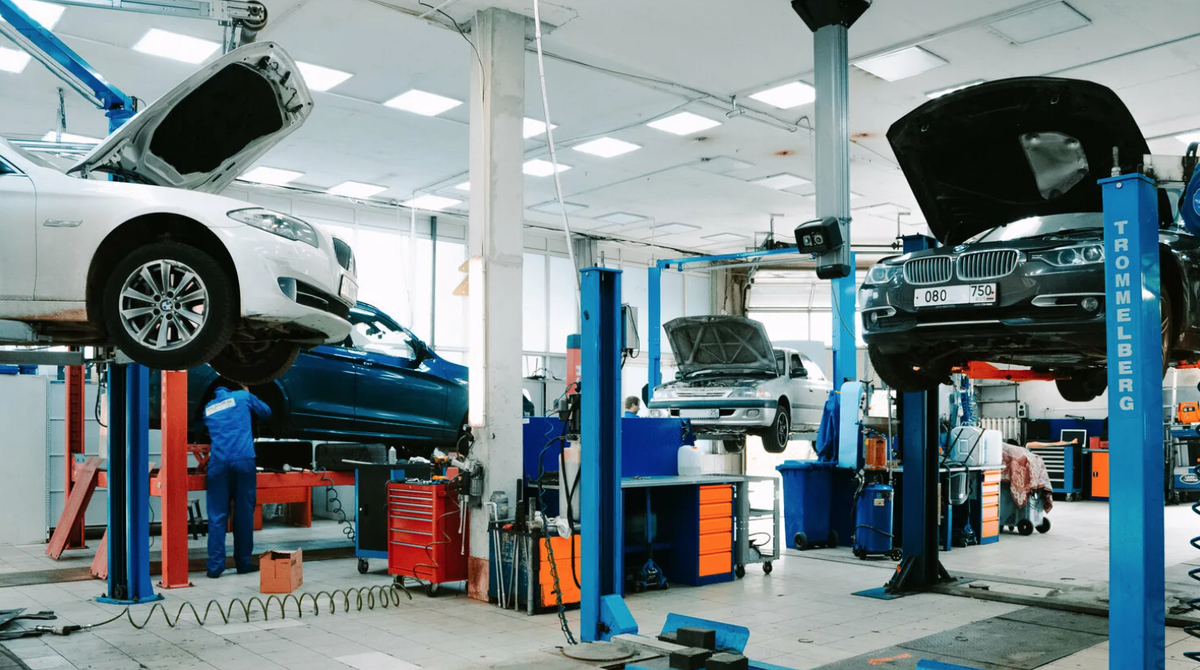 фото из открытых источников